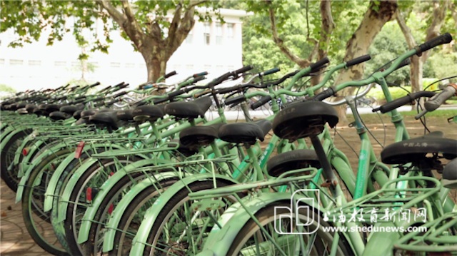 the green (in more ways than one) bikes are much nicer to look at than the cluttered graveyard.