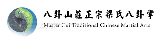 Martial Arts Sunday Practice Session | Master Cui Traditional Chinese Martial Arts